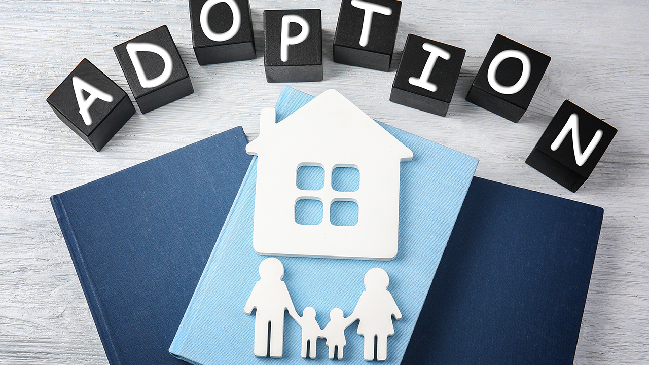 4768322 adoption edit img